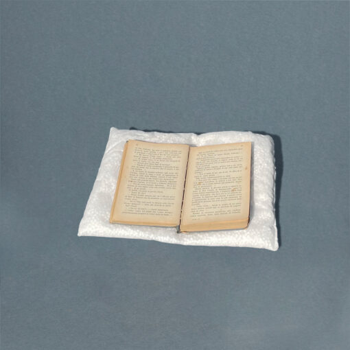 Pillows con libro sopra